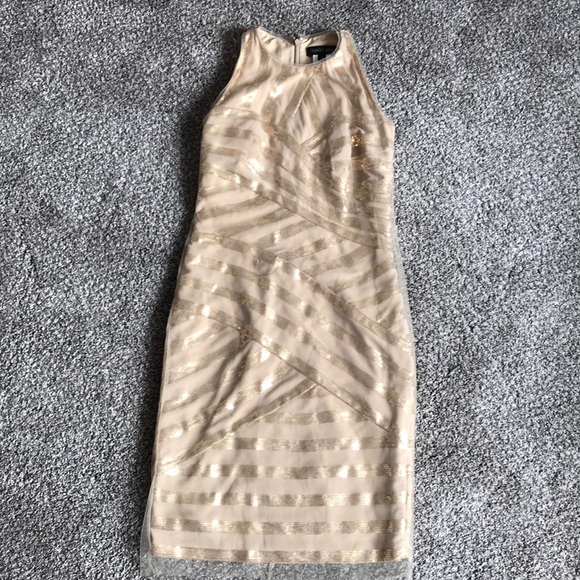 Tadashi Shoji tulle champagne dress 4 - Picture 1 of 6